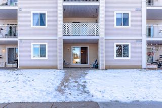 Photo 17: 1112 6224 17 Avenue SE in Calgary: Red Carpet Apartment for sale : MLS®# A2020044