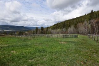 Photo 14: 5650 N 97 Highway in Williams Lake: Williams Lake - Rural North House for sale (Williams Lake (Zone 27))  : MLS®# R2699231