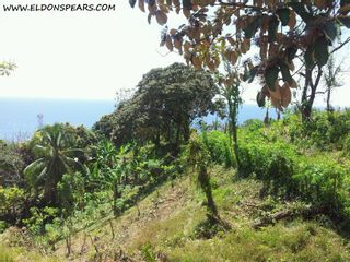 Photo 2: Oceanview land for sale near Portobelo