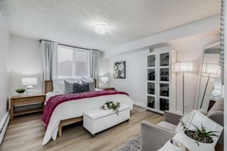 Photo 9: 405 225 25 Avenue SW in Calgary: Mission Apartment for sale : MLS®# A2125995