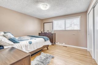 Photo 18: 4220 Maryvale Drive NE in Calgary: Marlborough Detached for sale : MLS®# A2027975