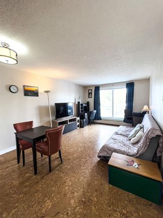 Photo 32: 403D 5601 Dalton Drive NW in Calgary: Dalhousie Apartment for sale : MLS®# A2032146