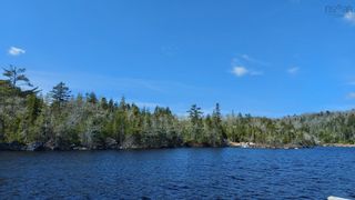 Photo 4: Lot 6 Lake Charlotte Way in Upper Lakeville: 35-Halifax County East Vacant Land for sale (Halifax-Dartmouth)  : MLS®# 202208986