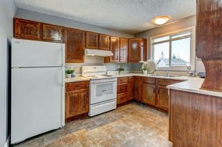 Photo 11: 28 Falmead Place NE in Calgary: Falconridge Semi Detached (Half Duplex) for sale : MLS®# A2011357