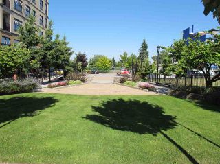 Photo 17: 212 331 KNOX Street in New Westminster: Sapperton Condo for sale : MLS®# R2143356