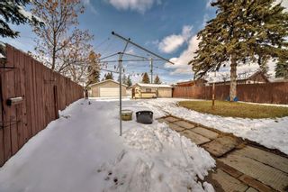 Photo 24: 2223 46 Street SE in Calgary: Forest Lawn Detached for sale : MLS®# A2121892