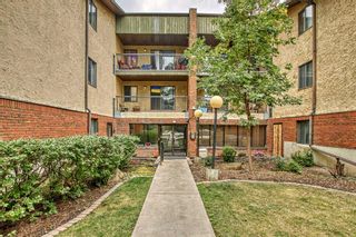 Main Photo: 304 1919 36 Street SW in Calgary: Killarney/Glengarry Apartment for sale : MLS®# A2084633