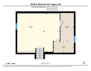 Photo 40: 255 Erin Woods Drive SE in Calgary: Erin Woods Detached for sale : MLS®# A1251085