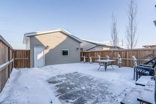 Photo 41: 427 Copperpond Boulevard SE in Calgary: Copperfield Detached for sale : MLS®# A1185949
