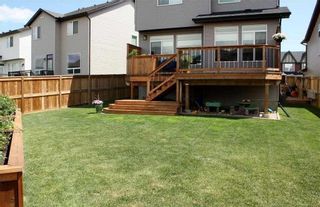 Photo 48: 48 Brightoncrest Rise SE in Calgary: New Brighton Detached for sale : MLS®# A2096488