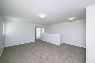 Photo 28: 89 Creekside Way SW in Calgary: C-168 Detached for sale : MLS®# A1013282