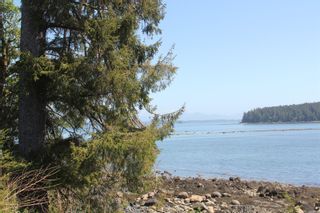 Photo 7: 1162 Front St in Ucluelet: PA Salmon Beach Land for sale (Port Alberni)  : MLS®# 866589
