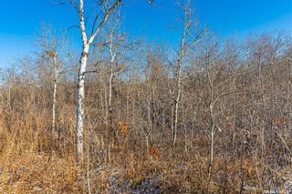 Photo 22: River Trail Acreage in Rosthern: Residential for sale (Rosthern Rm No. 403)  : MLS®# SK920465