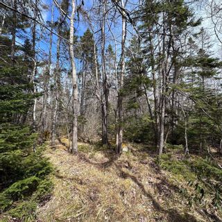 Photo 13: Lot 4 Port Medway Road in Port Medway: 406-Queens County Vacant Land for sale (South Shore)  : MLS®# 202307644