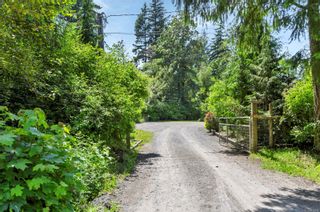 Photo 59: 4451 S Island Hwy in Campbell River: CR Campbell River South House for sale : MLS®# 915316