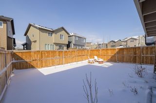 Photo 43: 17 Thoroughbred Boulevard: Cochrane Detached for sale : MLS®# A1208503