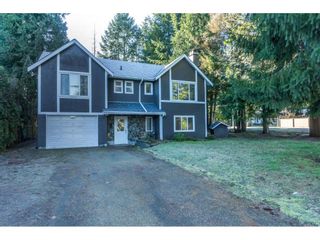 Photo 1: 20304 49A Avenue in Langley: Langley City House for sale : MLS®# R2341429