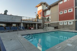 Photo 32: 311 2242 WHATCOM Road in Abbotsford: Abbotsford East Condo for sale : MLS®# R2731791