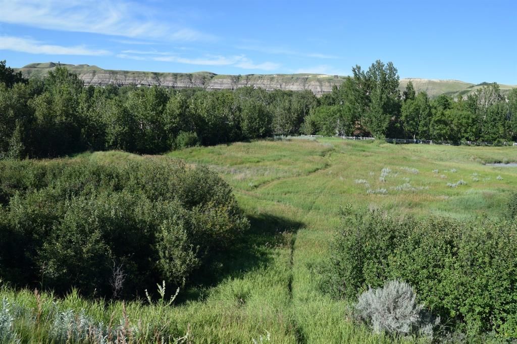 Main Photo: 248 Mabbott Road: Drumheller Commercial Land for sale : MLS®# A1210972