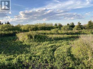 Photo 28: Settlers Drive in West Covehead: Vacant Land for sale : MLS®# 202119699