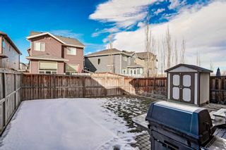 Photo 44: 168 Cougar Ridge Manor SW in Calgary: Cougar Ridge Detached for sale : MLS®# A2123465