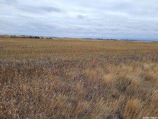 Photo 4: Unity 318 acres Grain and Pastureland in Round Valley: Farm for sale (Round Valley Rm No. 410)  : MLS®# SK951365