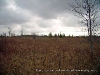 Photo 6: 2489 Concession Road 3 Road in Ramara: Brechin Property for sale : MLS®# X3371303