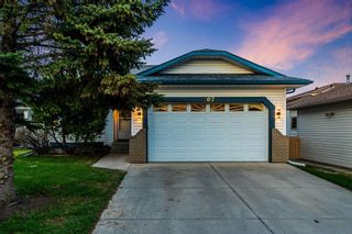 Photo 40: 107 Sunset Place: Okotoks Detached for sale : MLS®# A2044873