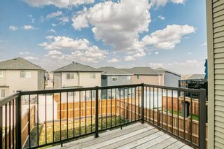 Photo 16: 161 Nolanhurst Crescent NW in Calgary: Nolan Hill Detached for sale : MLS®# A1258292