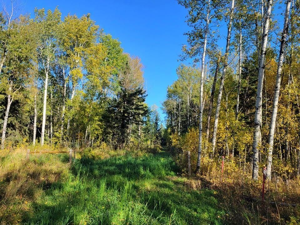 Main Photo: NW-4-67-19-4 , Boyle (Alpac): Rural Athabasca County Rural Land/Vacant Lot for sale : MLS®# E4264461