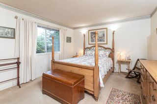 Photo 12: 6569 Tamany Dr in Central Saanich: CS Tanner House for sale : MLS®# 922985