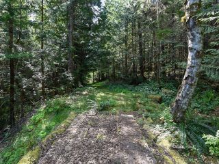 Photo 21: 5999 FORBIDDEN PLATEAU ROAD in COURTENAY: CV Courtenay West House for sale (Comox Valley)  : MLS®# 787510