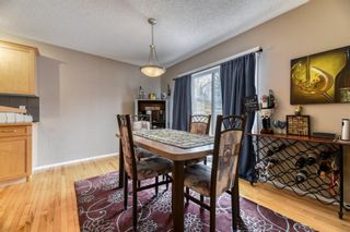 Photo 11: 14 Evansbrooke Terrace NW in Calgary: Evanston Detached for sale : MLS®# A1189740