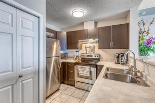 Photo 13: 1509 1053 10 Street SW in Calgary: Beltline Apartment for sale : MLS®# A1217179