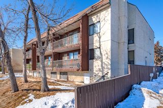 Photo 2: 306 1113 37 Street SW in Calgary: Rosscarrock Apartment for sale : MLS®# A2036851
