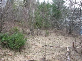 Photo 7: Lot 58 Ta Lana Trail in Sorrento: Blind Bay Land Only for sale (Shuswap)  : MLS®# 10250097