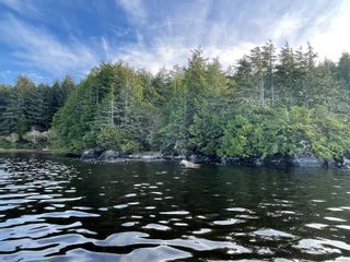 Photo 6: DL 1092 Clayoquot Island in Ucluelet: PA Ucluelet Land for sale (Port Alberni)  : MLS®# 861692