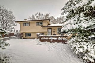 Photo 38: 436 Dalmeny Hill NW in Calgary: Dalhousie Detached for sale : MLS®# A2121438