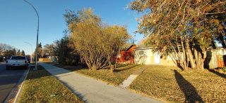 Photo 16: 10145 & 10155 155 Street in Edmonton: Zone 21 Vacant Lot/Land for sale : MLS®# E4198008