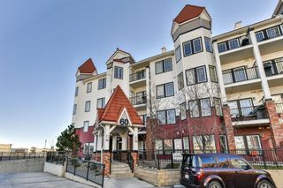 Photo 29: 141 60 Royal Oak Plaza NW in Calgary: Royal Oak Apartment for sale : MLS®# A1089077