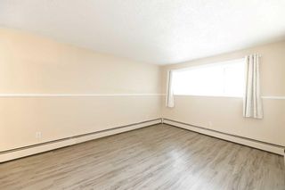 Photo 13: 22 366 94 Avenue SE in Calgary: Acadia Apartment for sale : MLS®# A2121640