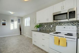 Photo 10: 132 Summerfield Close SW: Airdrie Detached for sale : MLS®# A1049034