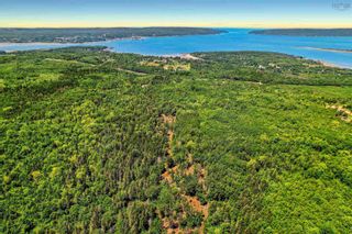 Photo 1: Lot Highway 101 in Smiths Cove: Digby County Vacant Land for sale (Annapolis Valley)  : MLS®# 202216443