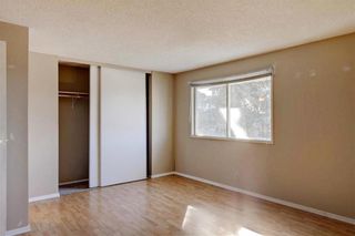 Photo 12: 175 20 FALBURY Crescent NE in Calgary: Falconridge House for sale : MLS®# C4178627