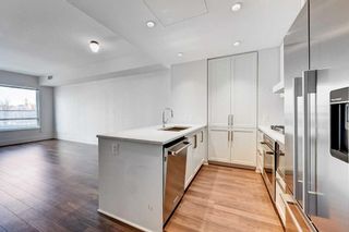 Photo 5: 303 46 9 Street NE in Calgary: Bridgeland/Riverside Apartment for sale : MLS®# A2120826