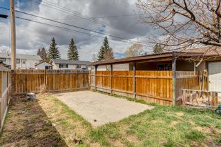Photo 26: 243 Penswood Way SE in Calgary: Penbrooke Meadows Detached for sale : MLS®# A1215404