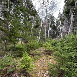 Photo 7: Lot 8 Fire Cove Road in Feltzen South: Vacant Land for sale : MLS®# 202306991