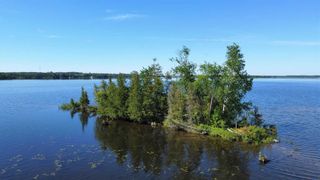 Photo 18: Lt 1 Canal Lake in Kawartha Lakes: Rural Carden Property for sale : MLS®# X5635905