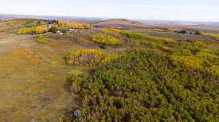 Photo 35: 306 Avenue W: Rural Foothills County Residential Land for sale : MLS®# A2084312