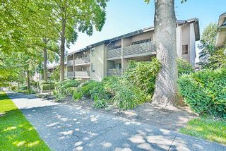 Photo 19: 208 1549 KITCHENER Street in Vancouver: Grandview VE Condo for sale in "DHARMA DIGS" (Vancouver East)  : MLS®# R2179867